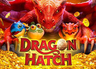  Dragon Hatch