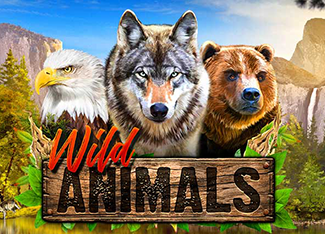 Wild Animals