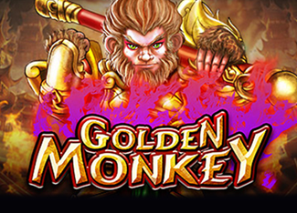  Golden Monkey