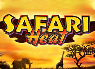  Safari Heat