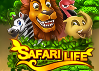  Safari Life