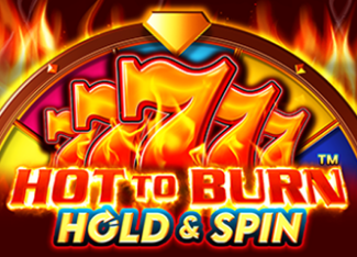 	Hot to Burn Hold and Spin™