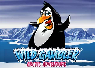  Wild Gambler 2: Arctic Adventure