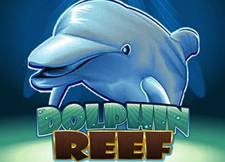  Dolphin Reef