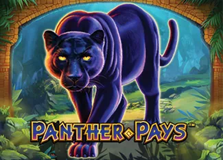  Panther Pays