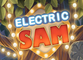  Electric Sam