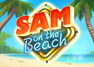  Sam on the Beach