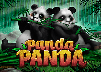  Panda Panda