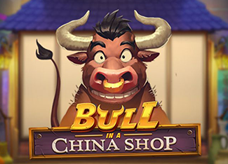  Bull in a China Shop