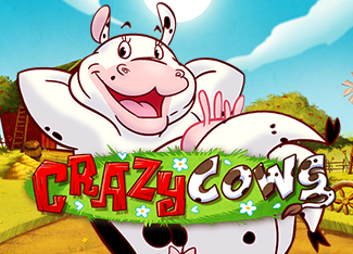  Crazy Cows