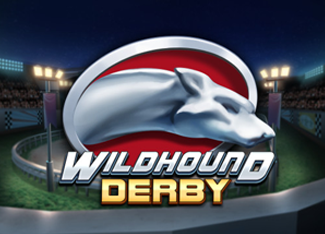  Wildhound Derby