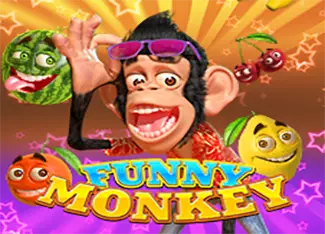 Funny Monkey