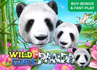  Wild Giant Panda